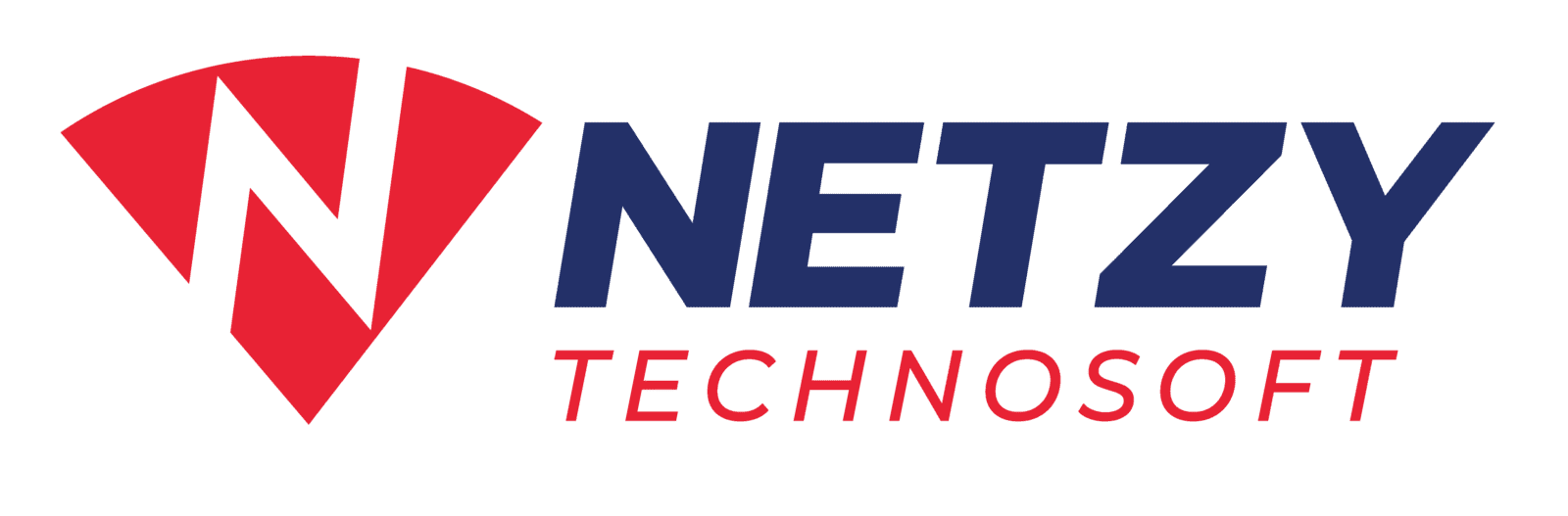 Netzy Technosoft Private Limited